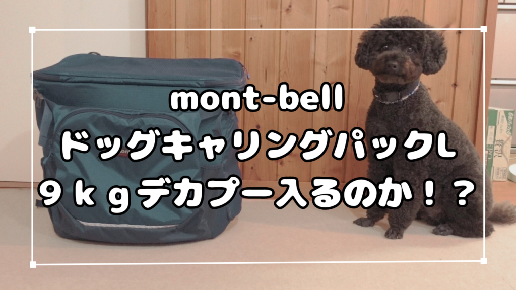 新製品の販売 mont-bell モンベル ドッグキャリングバッグ L | www